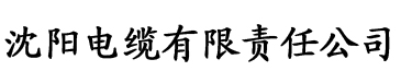 香蕉电影剪辑电缆厂logo